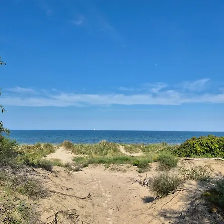 Golden Dunes * Palanga